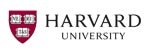 Logo 7